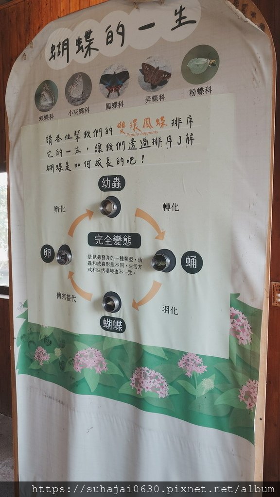 20250222_150827_調整大小 .JPG