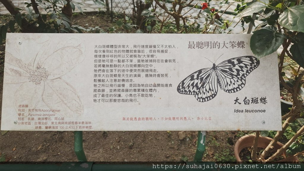 20250222_151816_調整大小 .JPG