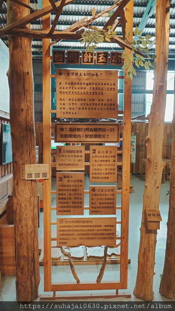 20250309_130216_調整大小 .JPG