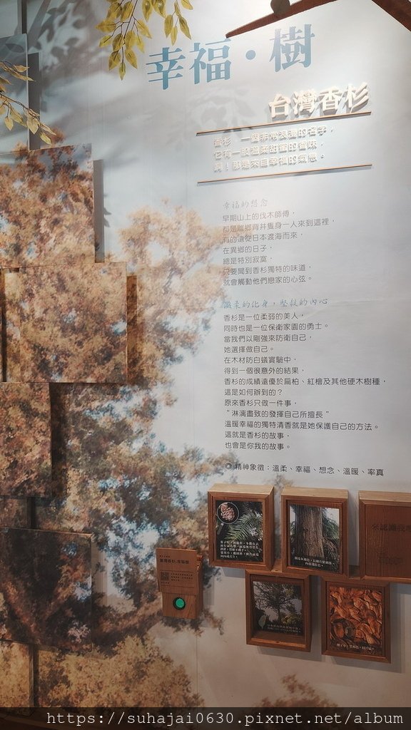 20250309_130247_調整大小 .JPG