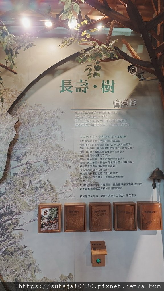 20250309_130255_調整大小 .JPG