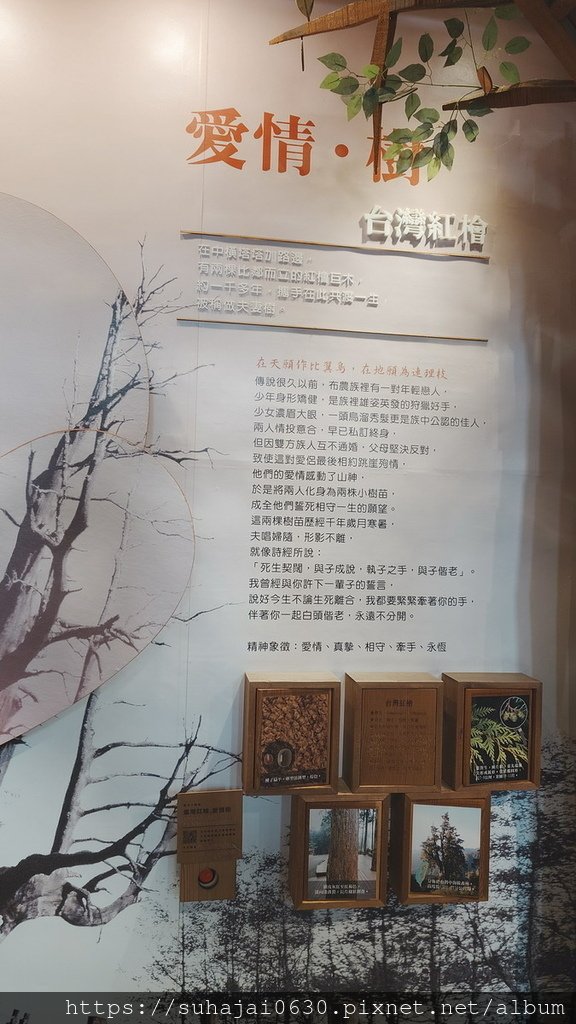 20250309_130425_調整大小 .JPG