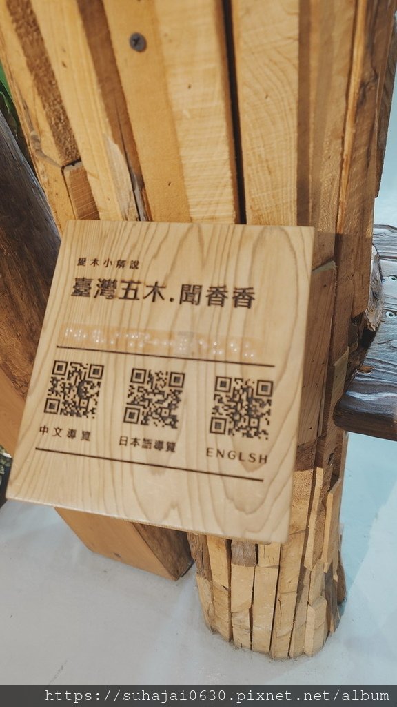 20250309_130529_調整大小 .JPG