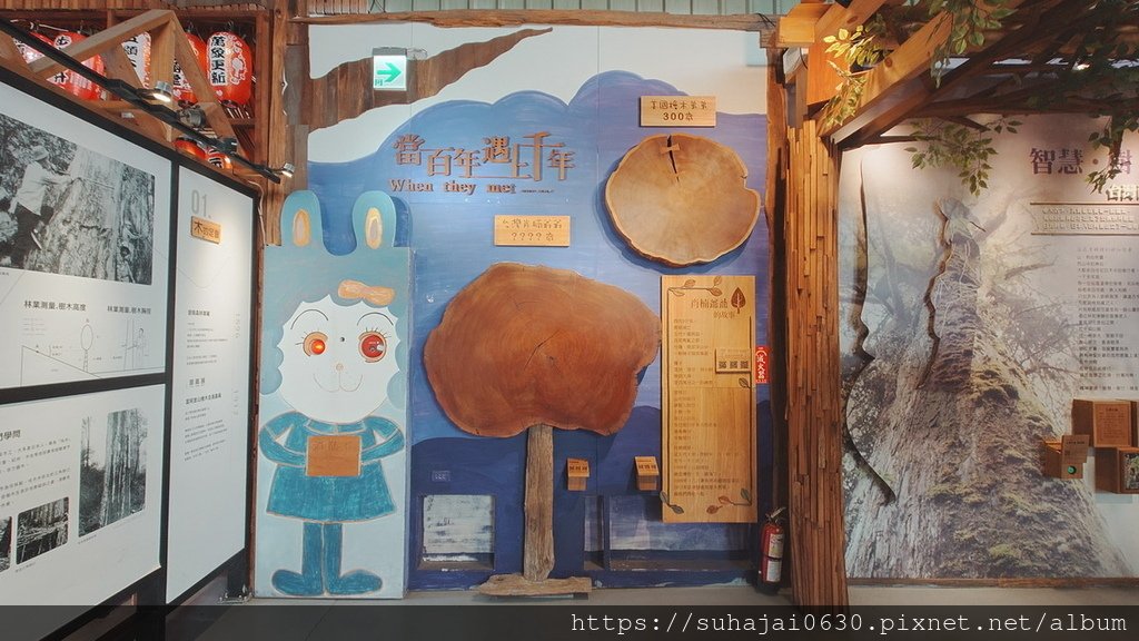 20250309_130634_調整大小 .JPG