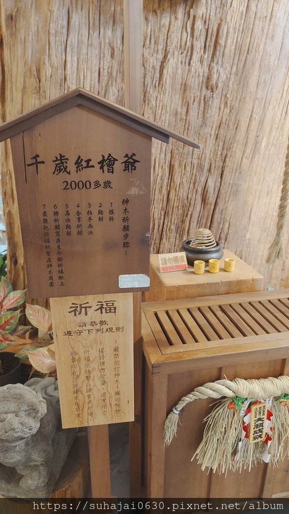 20250309_132144_調整大小 .JPG
