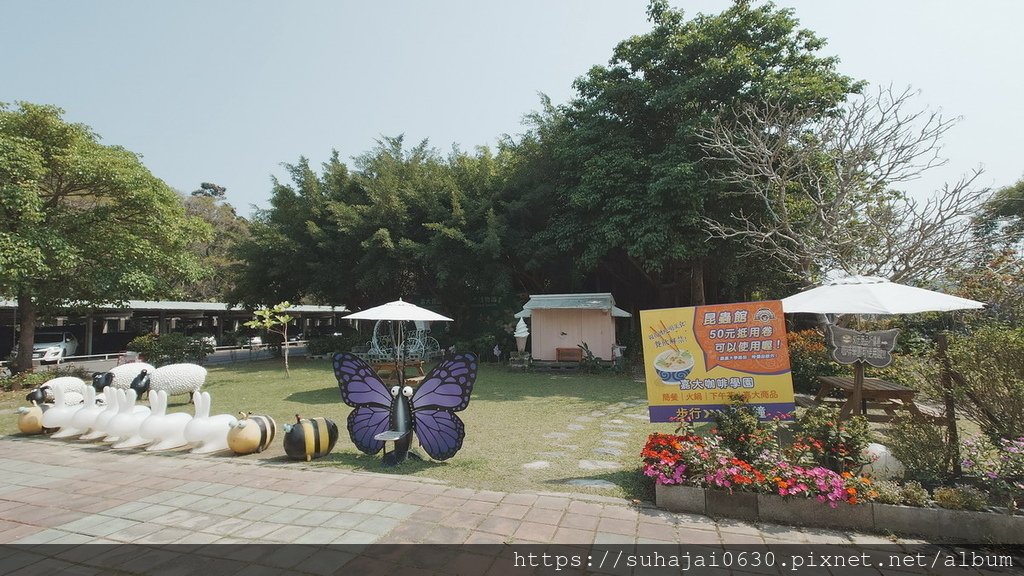 20250309_104035_調整大小 .JPG