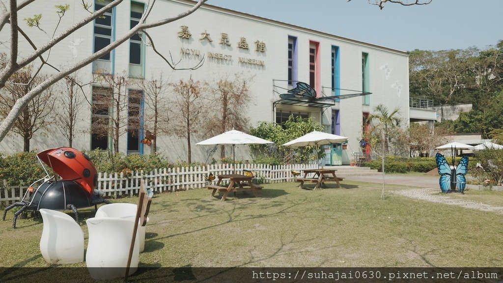 20250309_104008_調整大小 .JPG