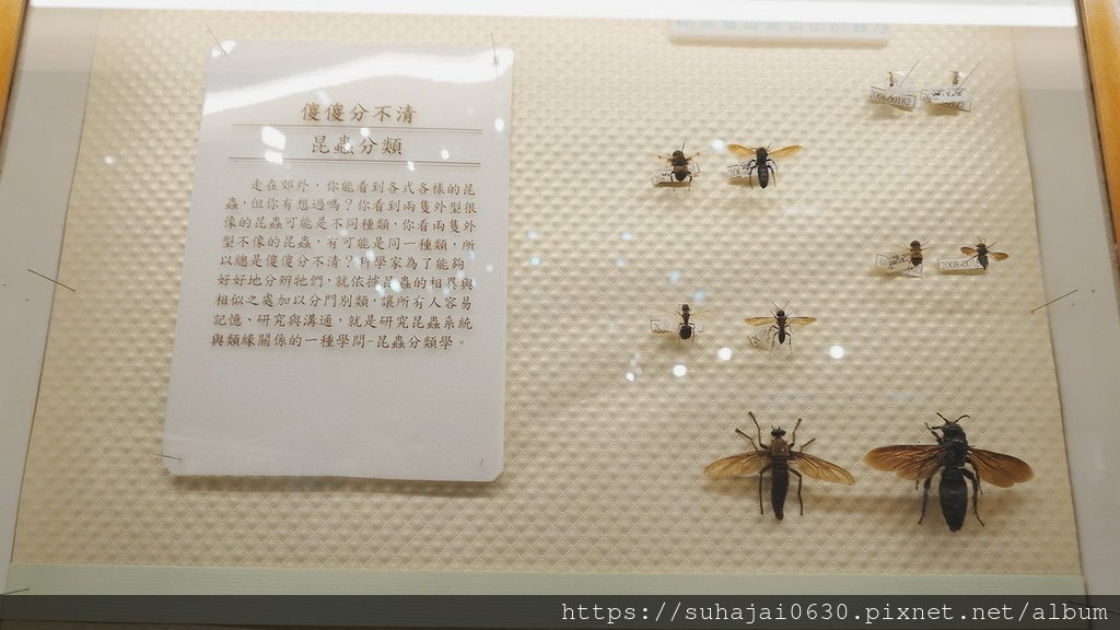 20250309_104310_調整大小 .JPG