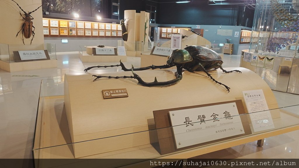 20250309_104349_調整大小 .JPG