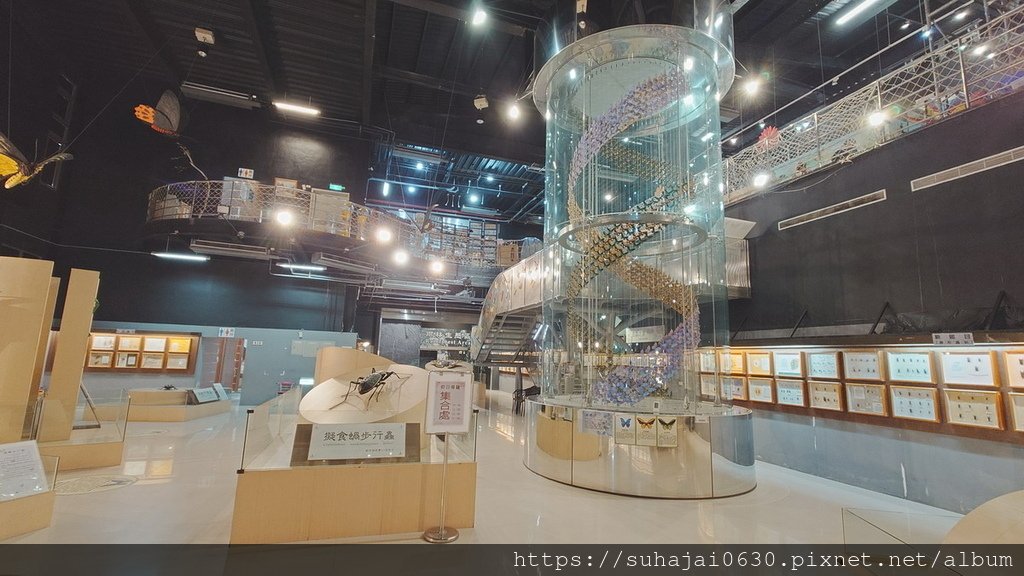 20250309_104411_調整大小 .JPG