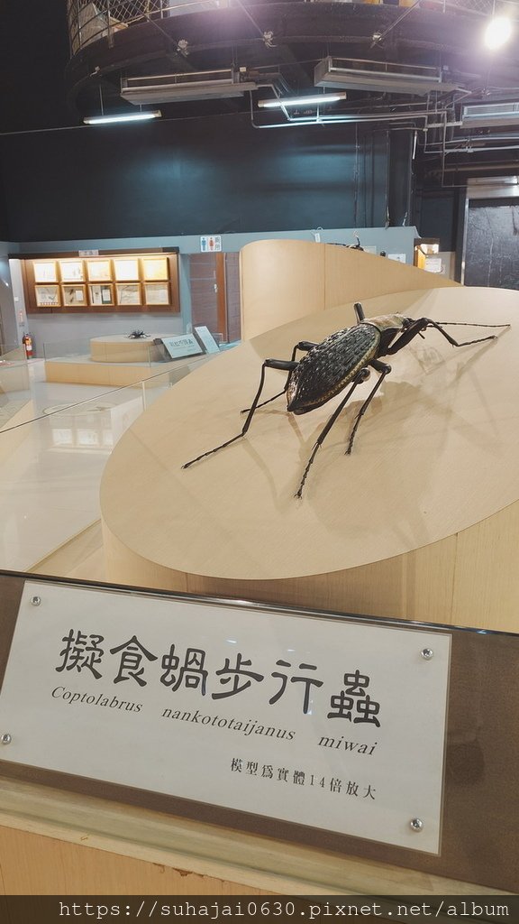 20250309_104531_調整大小 .JPG