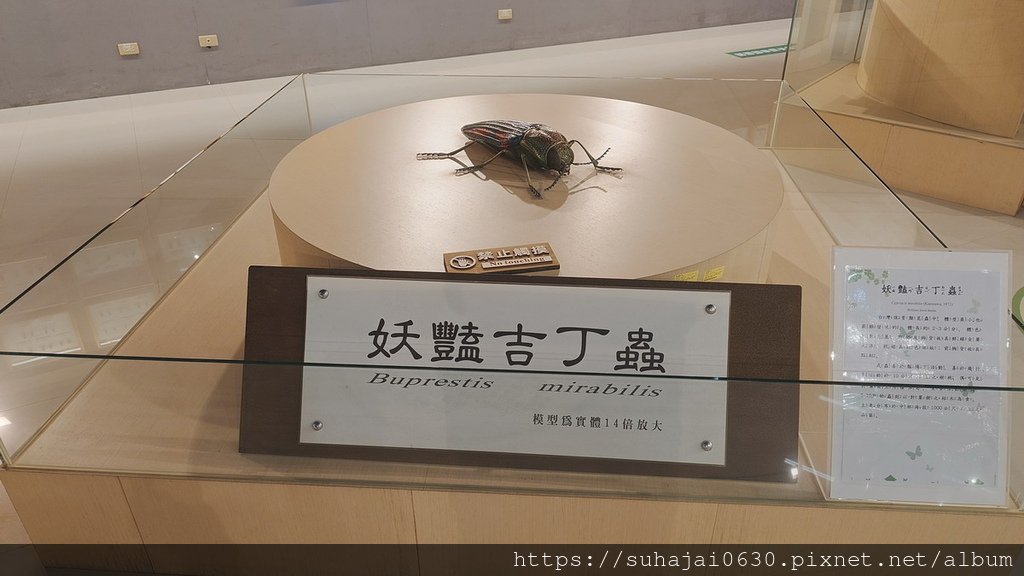 20250309_104536_調整大小 .JPG