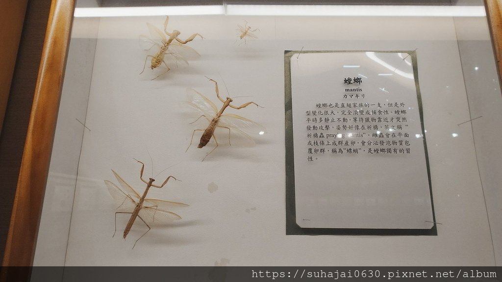 20250309_104636_調整大小 .JPG