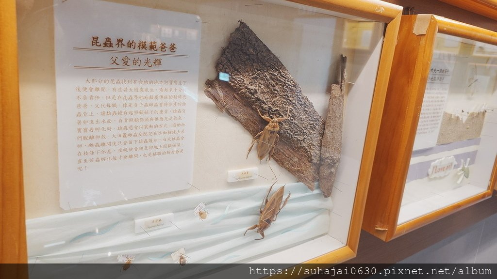 20250309_104801_調整大小 .JPG