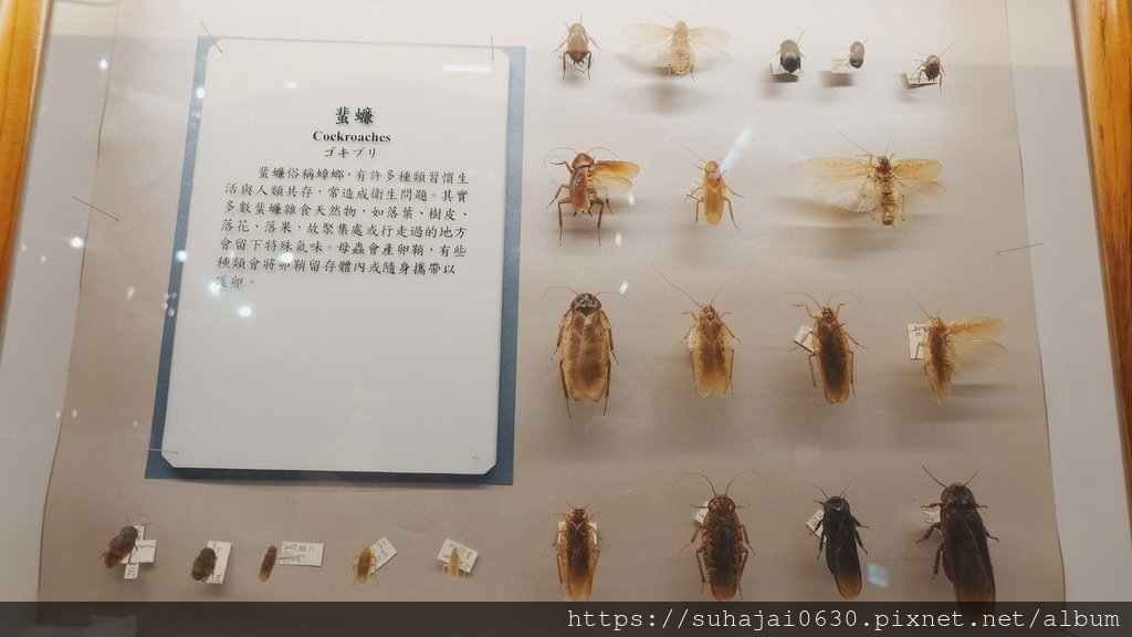 20250309_104815_調整大小 .JPG