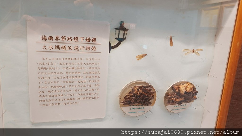 20250309_104831_調整大小 .JPG
