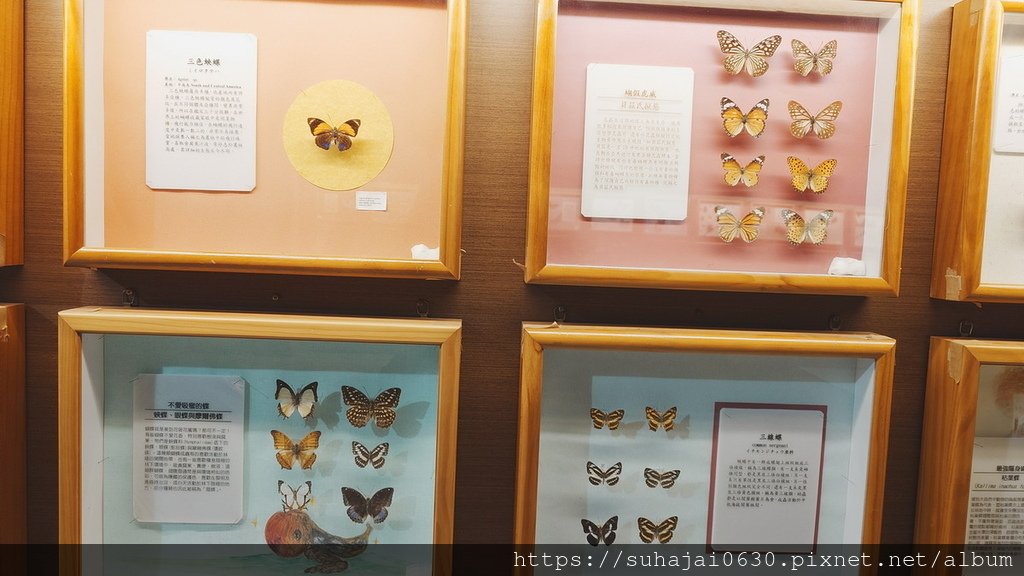 20250309_105210_調整大小 .JPG