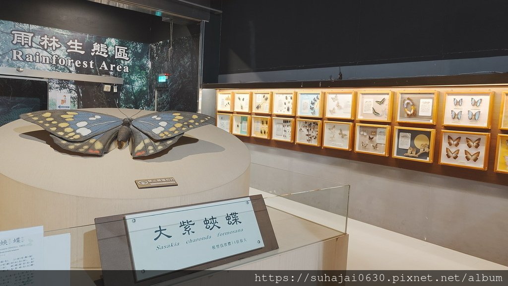 20250309_105157_調整大小 .JPG