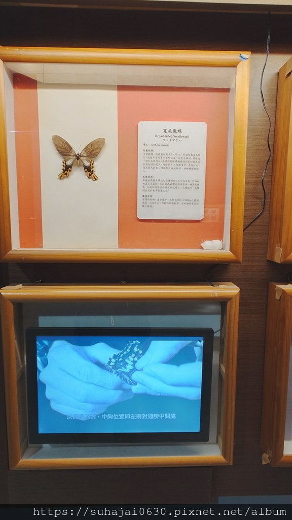 20250309_105844_調整大小 .JPG