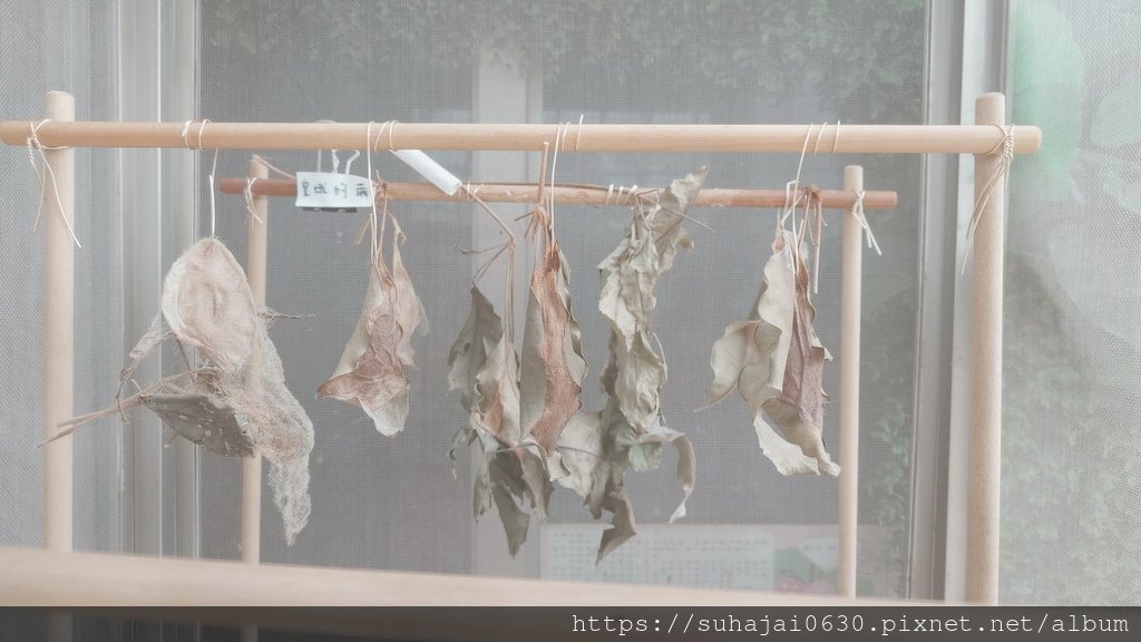 20250309_111251_調整大小 .JPG