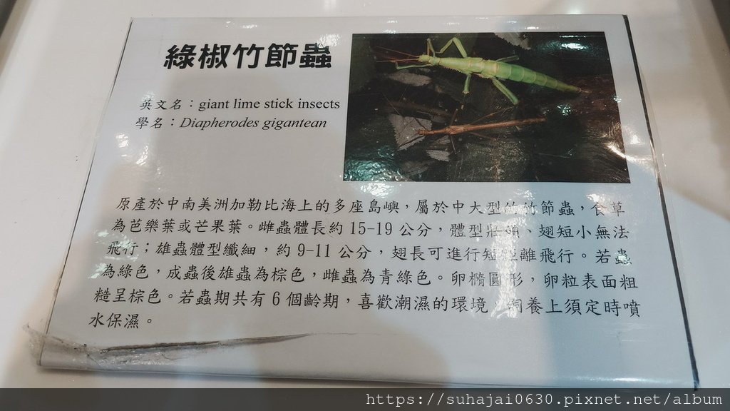 20250309_111756_調整大小 .JPG
