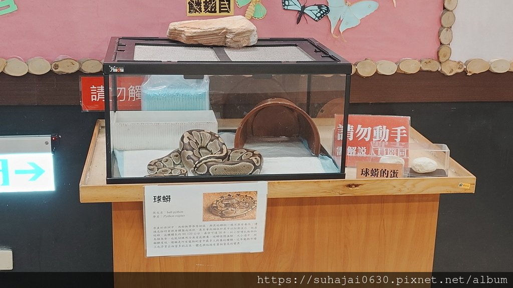 20250309_111831_調整大小 .JPG