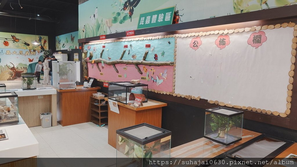 20250309_112207_調整大小 .JPG
