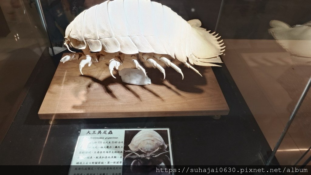 20250309_112433_調整大小 .JPG