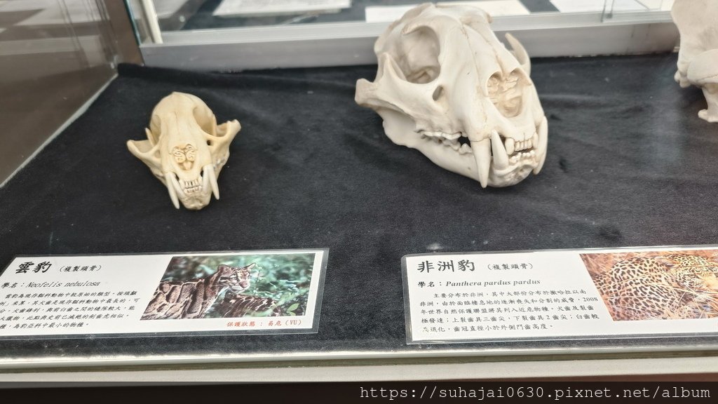 20250309_112509_調整大小 .JPG