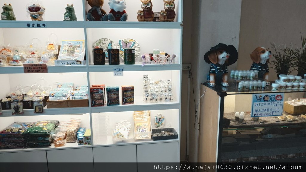 20250309_112818_調整大小 .JPG