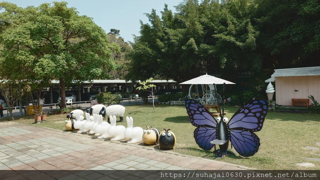 20250309_112922_調整大小 .JPG