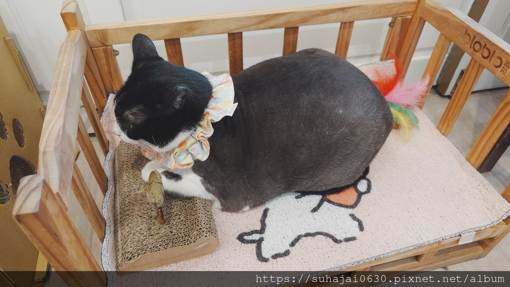 20250428_123311_調整大小 .JPG