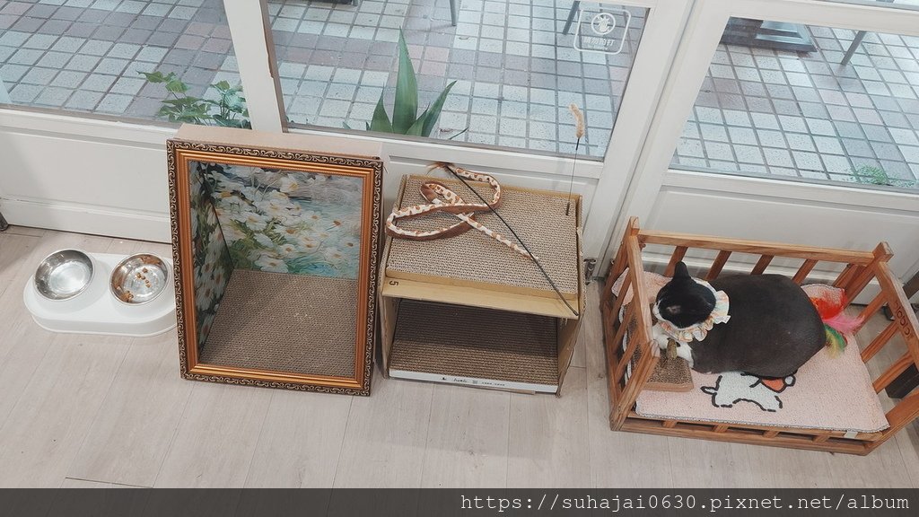 20250428_123316_調整大小 .JPG