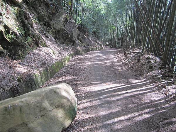 鹿林山 084.JPG