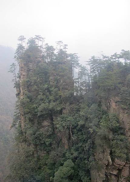 搭纜車下山沿路~