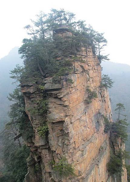 搭纜車下山沿路~