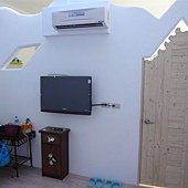 P1030387.JPG