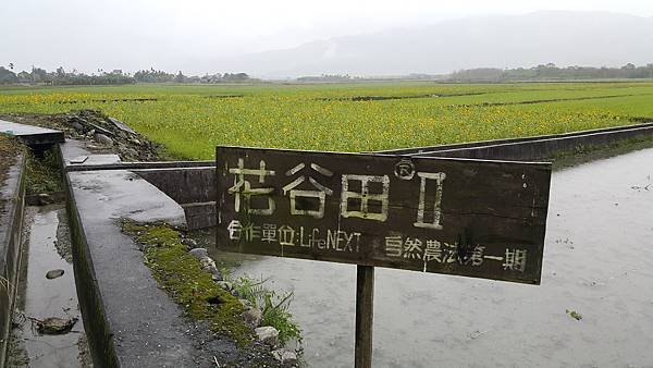 20160309_162436.jpg