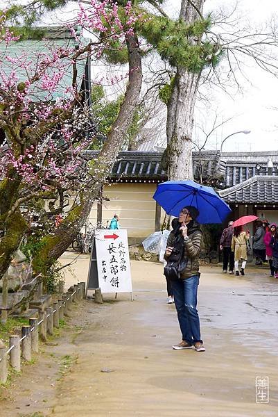 旅居日本：44歲－3天