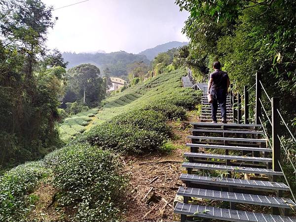 58雲林石壁遊龍湖步道.jpg