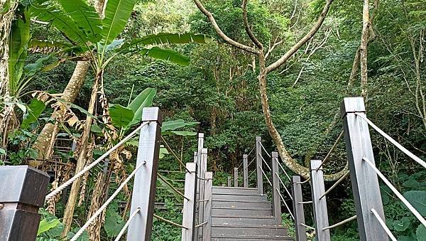 41台中太平酒桶山登山步道.jpg