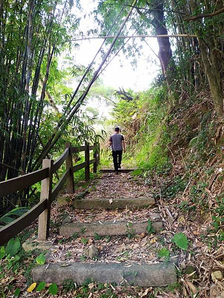 45台中太平酒桶山登山步道.jpg