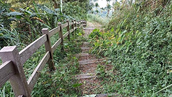 46台中太平酒桶山登山步道.jpg