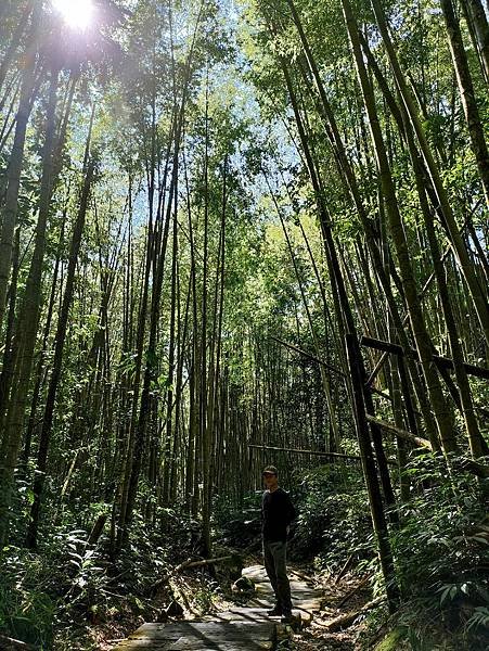 39嘉義阿里山迷糊步道.jpg