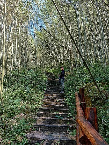 46嘉義阿里山迷糊步道.jpg