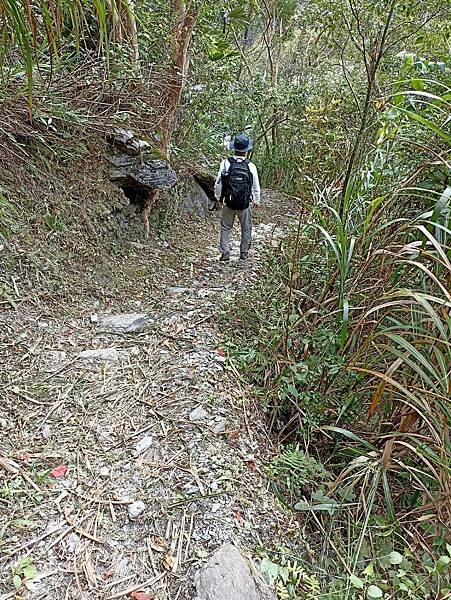 19花蓮太魯閣綠水(合流)步道.jpg