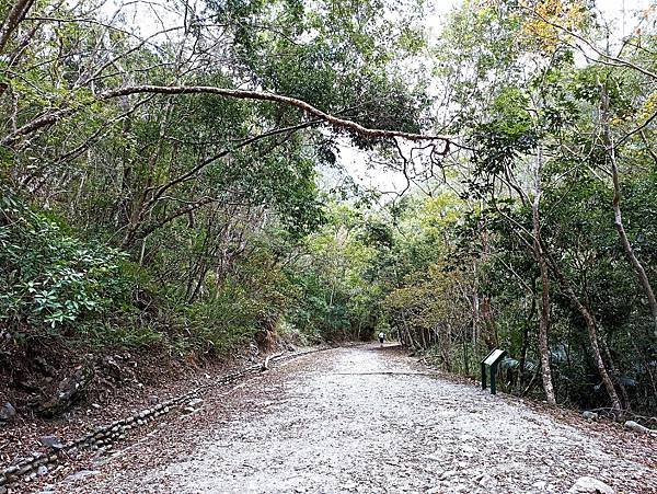 34花蓮太魯閣綠水(合流)步道.jpg