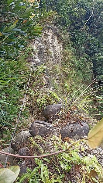 30大坑四號步道~黑山北峰.jpg