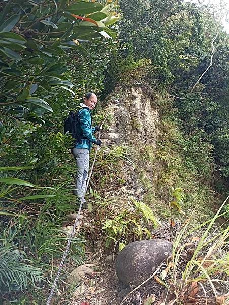 32大坑四號步道~黑山北峰.jpg