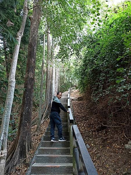 6台東市區鯉魚山步道.jpg